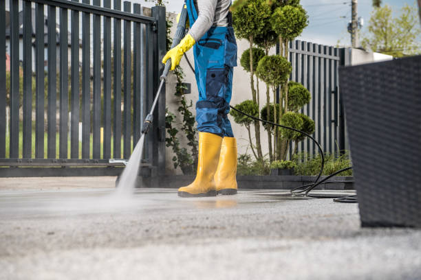 Best Dumpster Area Cleaning  in Spring Hill, FL